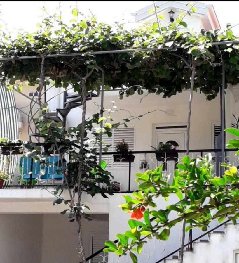 Apartment Kiwi Budva